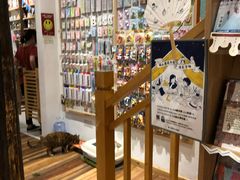 -猫的天空之城概念书店(杭州南宋御街店)