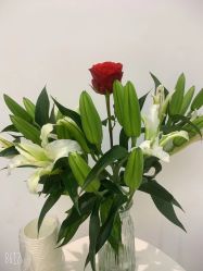 -美丽妈妈产后恢复中心(三林店)