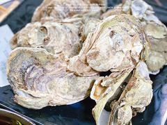 -大富蚝乌东哥饭店·石锅鱼杂·柠檬鸭(革新路店)