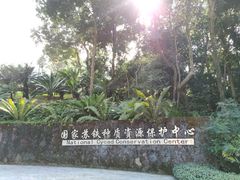 -深圳仙湖植物园