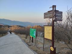 -北京西山国家森林公园