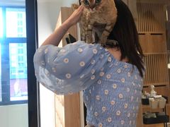 -啵啵喵·猫咖(攀华国际店)