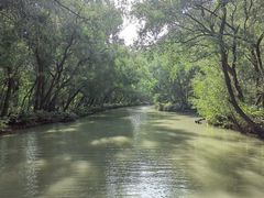 -大湾区中央湿地公园