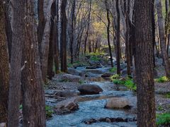 -玉渡山自然风景区