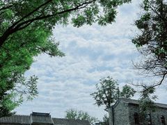-三里河公园