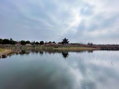 -上海海湾国家森林公园