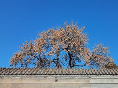 -张学良旧居陈列馆