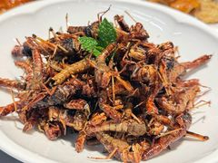 -燕春楼(海河华鼎店)