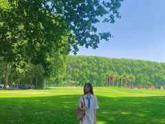 -河南省黄河迎宾馆