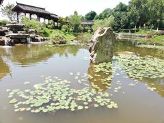 -邓小平故里