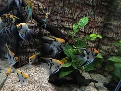 -正佳极地海洋世界