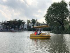 -上海长兴岛郊野公园