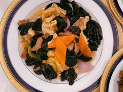 -福孕妈妈家政•月嫂育儿嫂保姆