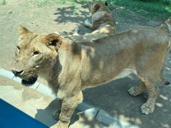 -北京野生动物园