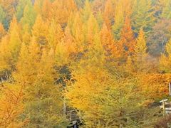 -苏木山森林公园