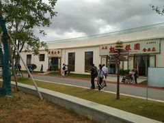 -上海长兴岛郊野公园