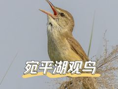 -绿堤公园