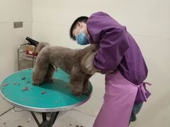 -佳雯宠物医院(四明中路分院)