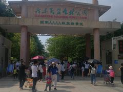 -广东茂名森林公园