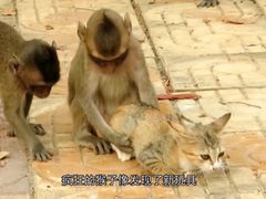 -昆明动物园