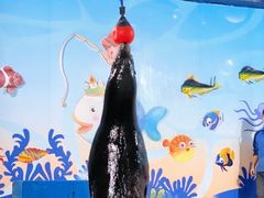 -太平洋海底世界