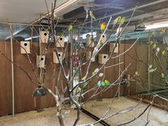 -上海大自然野生昆虫馆(东方明珠·爬宠昆虫探索中心)