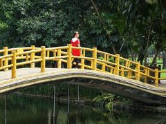 -晓港公园