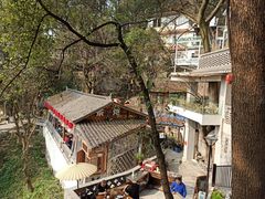 -南山植物园