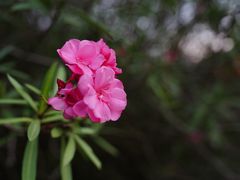 -闵行体育公园(七宝镇)