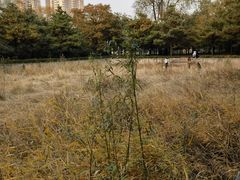 -森林公园(尖草坪区)