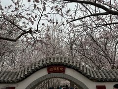 -桃花堤公园