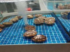 -大连湾旭日饭店(大连湾店)