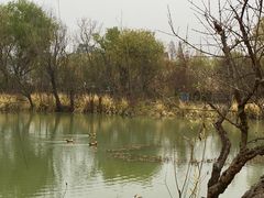 -长兴太湖图影湿地文化园