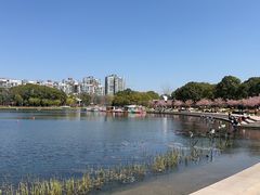 -新江湾城公园