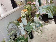 -荷兰花海