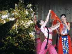 -梭布垭石林景区