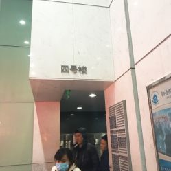 -净漪造型 PURE RIPPLE