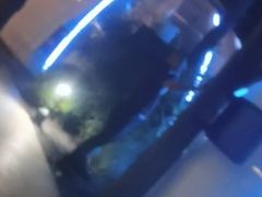 -炑羊香烤全羊(西三旗店)
