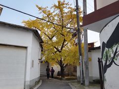 -雨花胜境