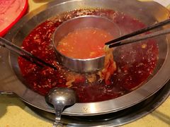 -田鸭肠·非遗火锅(彭州店)