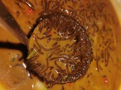 -姜君·千岛湖鱼头馆(浦东大道店)