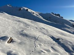 -祁连山·岗什卡雪峰景区