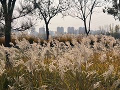 -汉长安城未央宫国家考古遗址公园