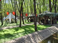 -草根堂农场