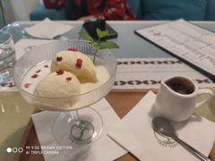 -树咖啡tree coffee