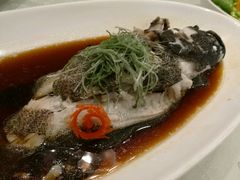 -海鲜城大家餐厅