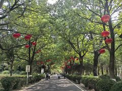 -云龙湖旅游景区