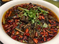 -三猫黑鱼花(南大店)