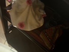 -富侨养生(光大会展店)