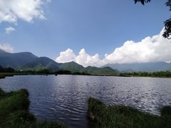-大九湖